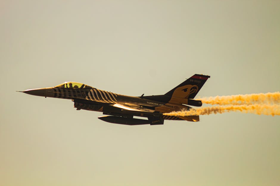Balanced nutrition meal prep with high protein and vegetables